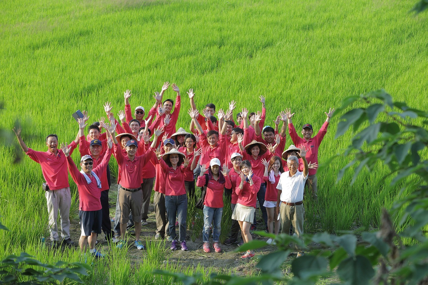 栽種美善的種籽