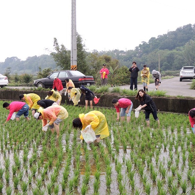 活力營
外埔農場