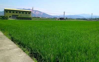 活力營
豐穀外埔福田農場
&后里千年樟樹公