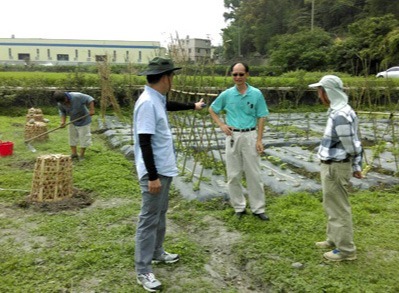 豐穀的開心農場
福田農場