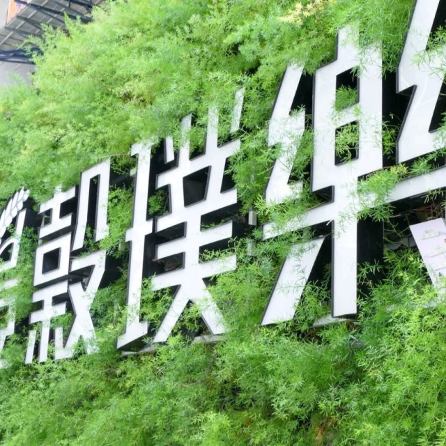 豐穀璞樂工地參觀