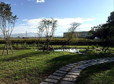 福田農場栽種菜苗&讀書會