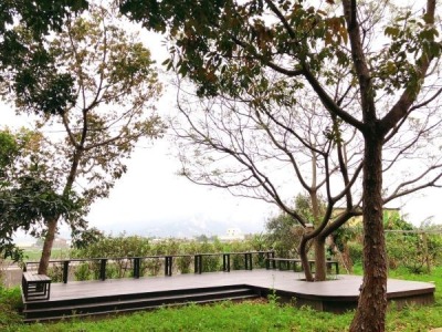 福田農場環境維護