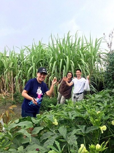 大甲媽祖志工聯誼活動