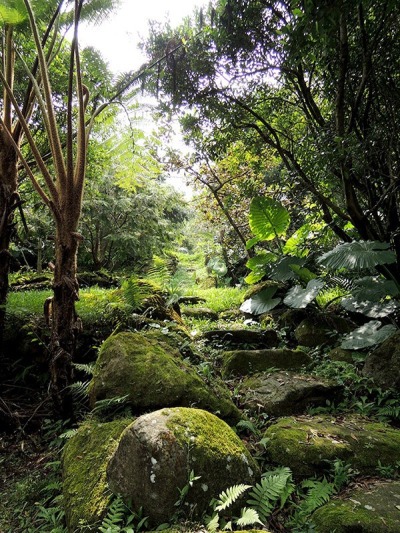 參觀新社私房景觀園藝