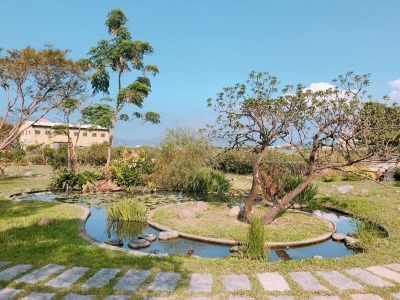 福田農場活動 草仔粿DIY