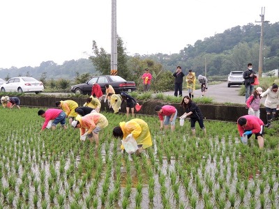 活力營舉辦田間體驗營