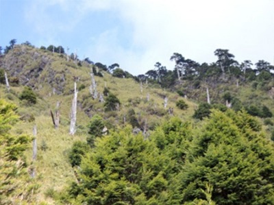 玉山主峰登山活動
