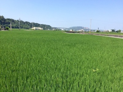 福田農場單車之旅