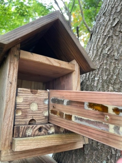 福田農場環境維護