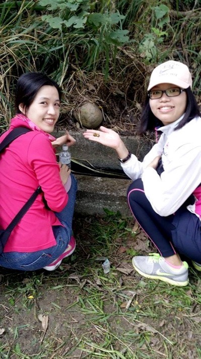 豐穀外埔福田農場&后里千年樟樹公