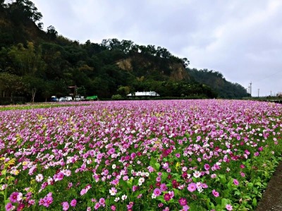 福田農場聯誼活動 控土窯&炊菜頭粿