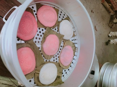 福田農場活動紅龜粿DIY