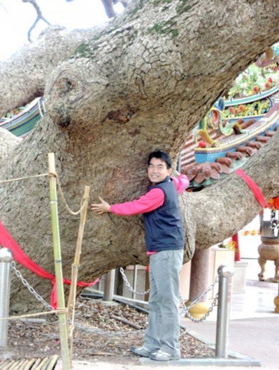 豐穀外埔福田農場&后里千年樟樹公