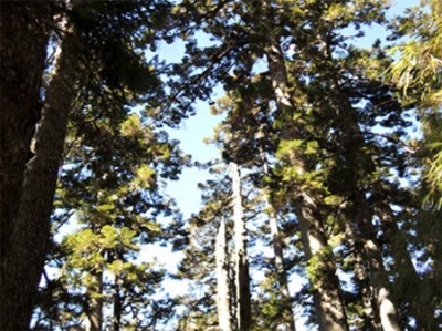 玉山主峰登山活動