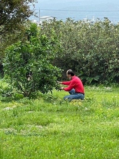 福田農場環境維護
