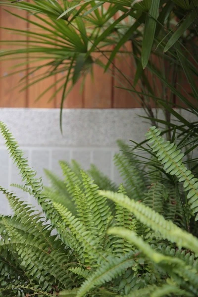 豐穀安閣 外觀實景