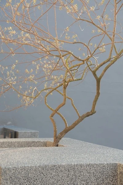 豐穀安閣 外觀實景